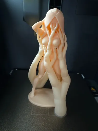 https://makerworld.bblmw.com/makerworld/comment/20260218/2173181066/68dbdaa2e0f7b38c.jpg