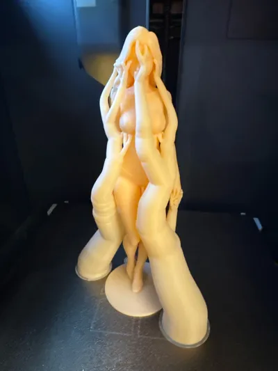 https://makerworld.bblmw.com/makerworld/comment/20260218/2173181066/7ff2ef693f189084.jpg