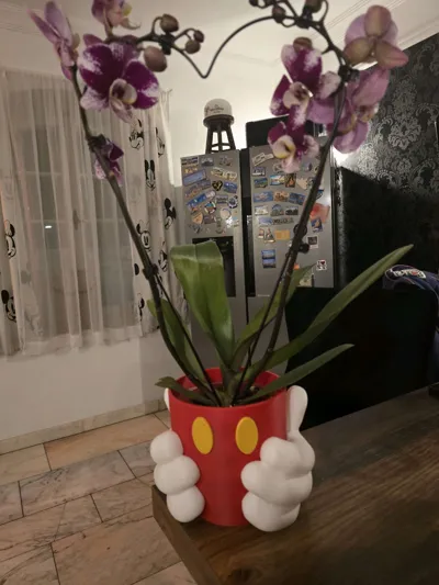 https://makerworld.bblmw.com/makerworld/comment/20260218/2307286247/6b2cc7ec89dbacbd.jpg