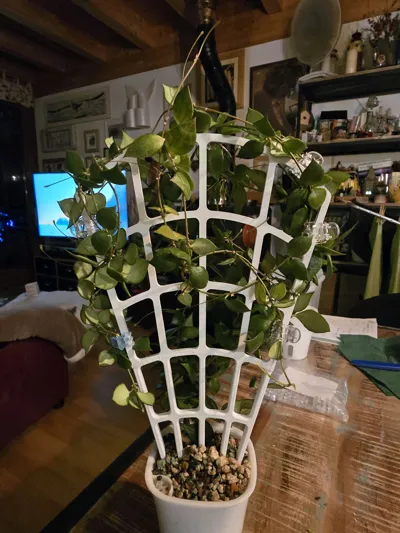 https://makerworld.bblmw.com/makerworld/comment/20260218/2412157856/871b76bace81192f.jpg
