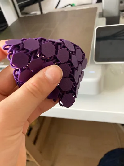 https://makerworld.bblmw.com/makerworld/comment/20260218/2629819875/1b8ec7ee0f6d0e2c.jpg