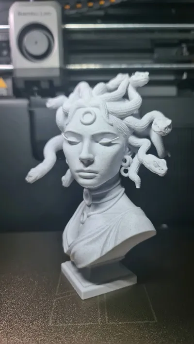 https://makerworld.bblmw.com/makerworld/comment/20260218/2729451250/88797912d7f29c54.jpg