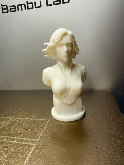 https://makerworld.bblmw.com/makerworld/comment/20260218/2978635908/cf3543942caef72e.jpg