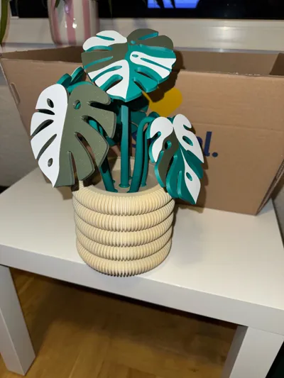 https://makerworld.bblmw.com/makerworld/comment/20260218/3079985407/5a33f9d8702822b3.jpg