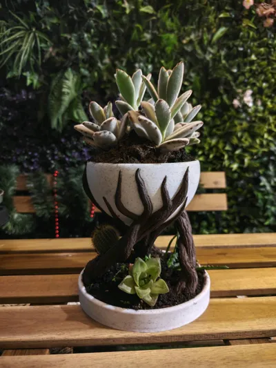 https://makerworld.bblmw.com/makerworld/comment/20260218/3097973857/3fc58798da4167eb.jpg