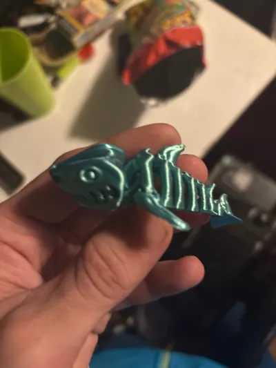 https://makerworld.bblmw.com/makerworld/comment/20260218/3803322242/c4e1af782b2b2110.jpg