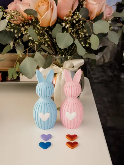 https://makerworld.bblmw.com/makerworld/comment/20260218/3921829493/f8a7bf0cc989e2dc.jpg