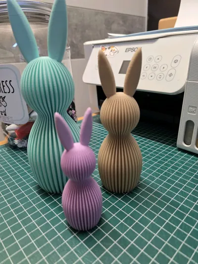 https://makerworld.bblmw.com/makerworld/comment/20260218/3942549083/c138a68c2d1ce920.jpg