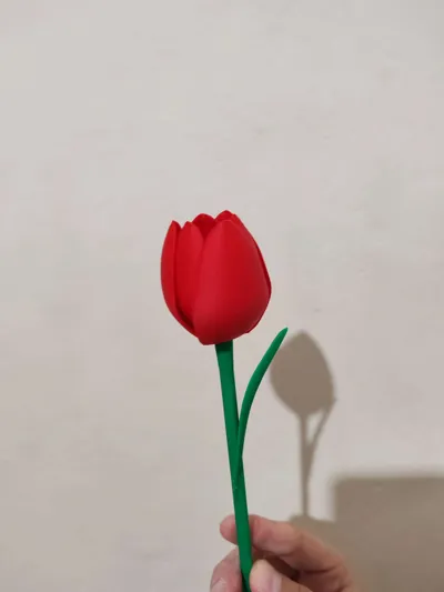 https://makerworld.bblmw.com/makerworld/comment/20260218/4143043230/4b45659efe3b1d6e.jpg