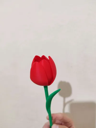 https://makerworld.bblmw.com/makerworld/comment/20260218/4143043230/64286a0074836f47.jpg