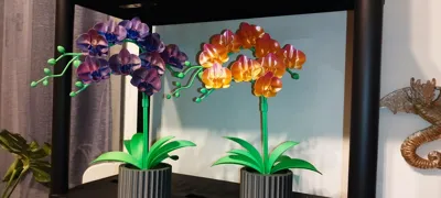 https://makerworld.bblmw.com/makerworld/comment/20260218/4196185372/0f47f0d6dd567f2e.jpg
