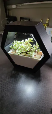 https://makerworld.bblmw.com/makerworld/comment/20260218/741239158/05004ec2dc2c3cee.jpg