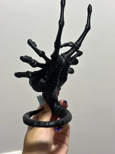 https://makerworld.bblmw.com/makerworld/comment/20260218/917768688/33b97d037d74208a.jpg