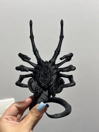 https://makerworld.bblmw.com/makerworld/comment/20260218/917768688/9225dbb323df6d22.jpg