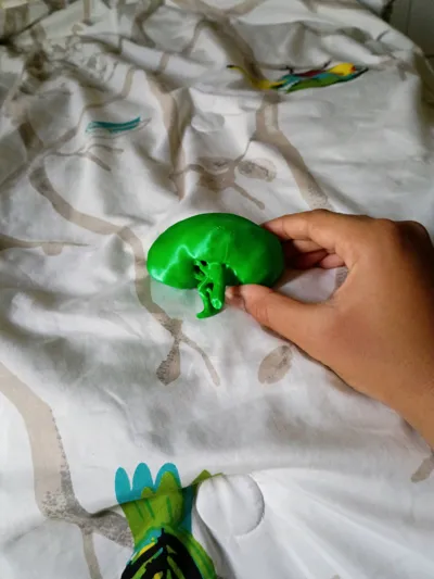 https://makerworld.bblmw.com/makerworld/comment/20260219/1430414665/480f80ac67ae979f.jpg