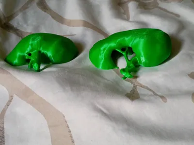 https://makerworld.bblmw.com/makerworld/comment/20260219/1430414665/e4ae864ea916b8e9.jpg