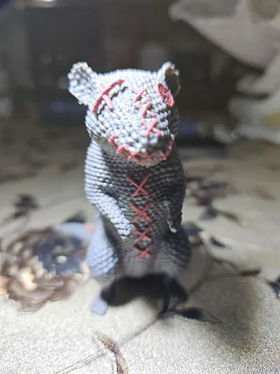 https://makerworld.bblmw.com/makerworld/comment/20260219/1553396787/e6347f6fd2d66ecf.jpg