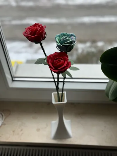 https://makerworld.bblmw.com/makerworld/comment/20260219/1749235629/9071bdb3f770c4b0.jpg