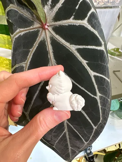 https://makerworld.bblmw.com/makerworld/comment/20260219/205156409/af27c9a2257dfb08.jpg