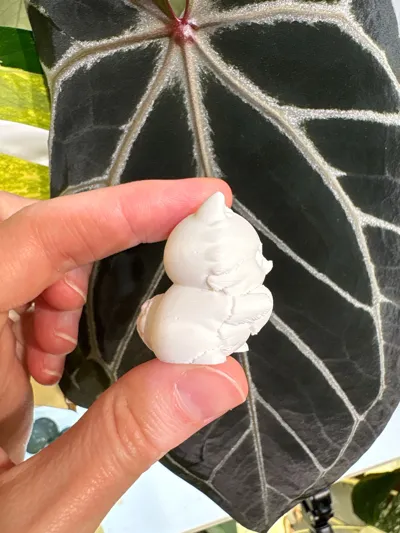 https://makerworld.bblmw.com/makerworld/comment/20260219/205156409/f5e0c2349992fafc.jpg