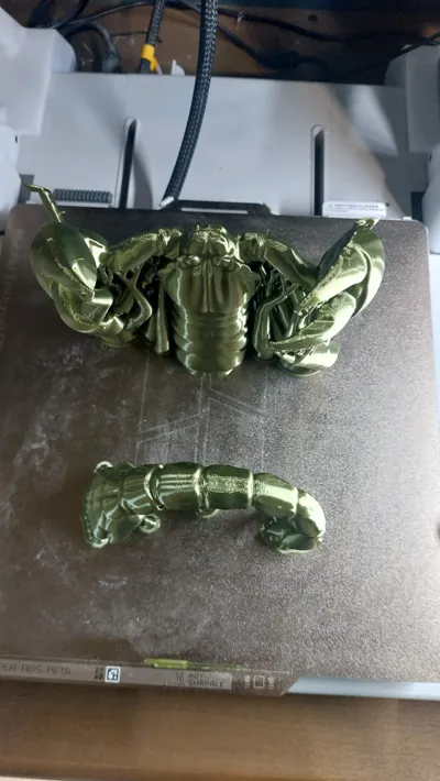 https://makerworld.bblmw.com/makerworld/comment/20260219/215689600/123db1ee0882756b.jpg