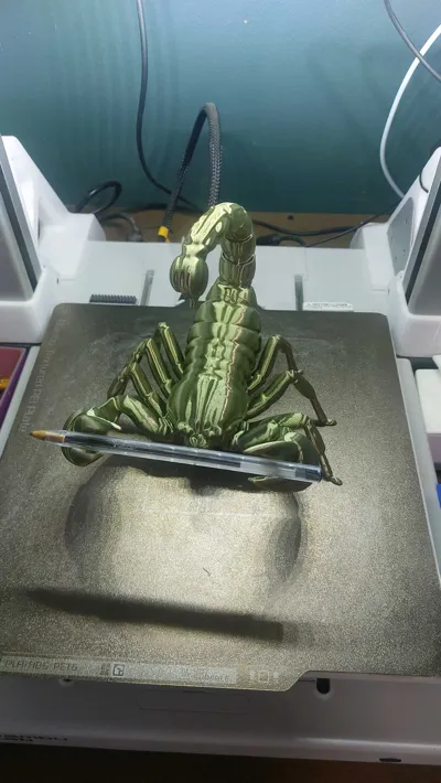 https://makerworld.bblmw.com/makerworld/comment/20260219/215689600/8101e889eb2a8820.jpg