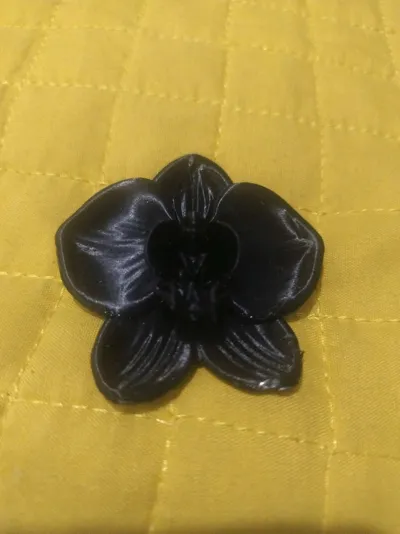 https://makerworld.bblmw.com/makerworld/comment/20260219/2474417924/5b940a4ea5369933.jpg