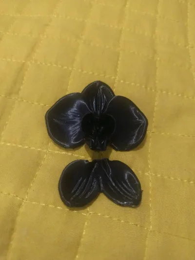 https://makerworld.bblmw.com/makerworld/comment/20260219/2474417924/f9964487953d781e.jpg