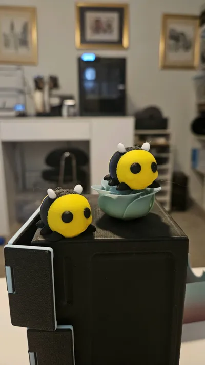 https://makerworld.bblmw.com/makerworld/comment/20260219/2594432031/095595d166440584.jpg