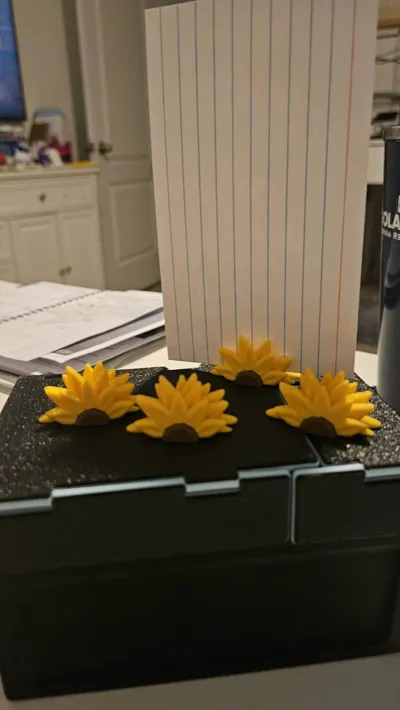 https://makerworld.bblmw.com/makerworld/comment/20260219/2594432031/4c4fa0d79e6c8b3e.jpg