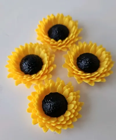 https://makerworld.bblmw.com/makerworld/comment/20260219/2594432031/5b9541ad5af30261.jpg