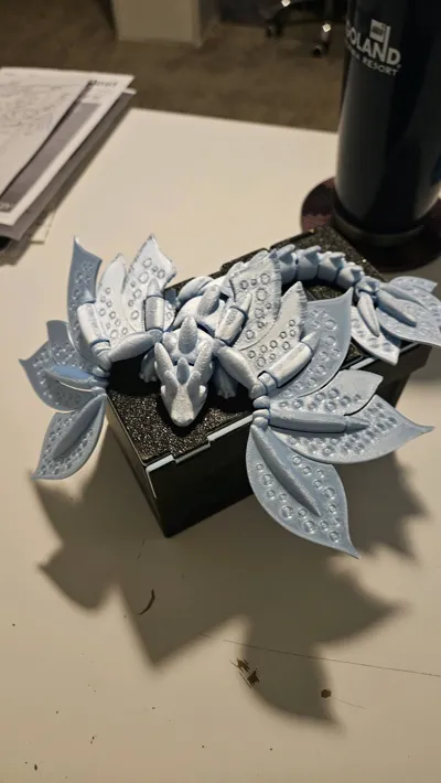 https://makerworld.bblmw.com/makerworld/comment/20260219/2594432031/d6120d4fed49bfa6.jpg