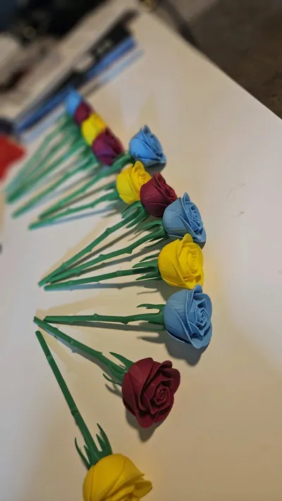 https://makerworld.bblmw.com/makerworld/comment/20260219/2594432031/d688e39e66ae894a.jpg