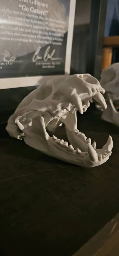 https://makerworld.bblmw.com/makerworld/comment/20260219/2650995503/10b96631e0db98cc.jpg