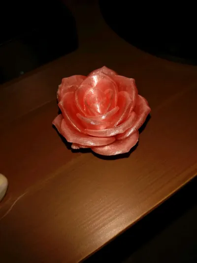 https://makerworld.bblmw.com/makerworld/comment/20260219/2666917755/171eefad74a6f828.jpg