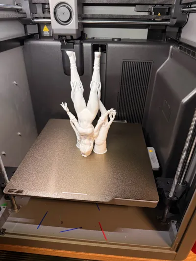 https://makerworld.bblmw.com/makerworld/comment/20260219/2685762911/21f5cf37daa246e6.jpg