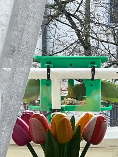 https://makerworld.bblmw.com/makerworld/comment/20260219/2750156902/362c90dca9f29cdc.jpg
