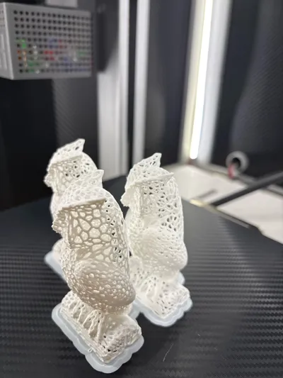 https://makerworld.bblmw.com/makerworld/comment/20260219/2918967352/751d406aa92cfa51.jpg