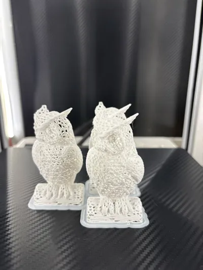 https://makerworld.bblmw.com/makerworld/comment/20260219/2918967352/e819c1bb418948fb.jpg