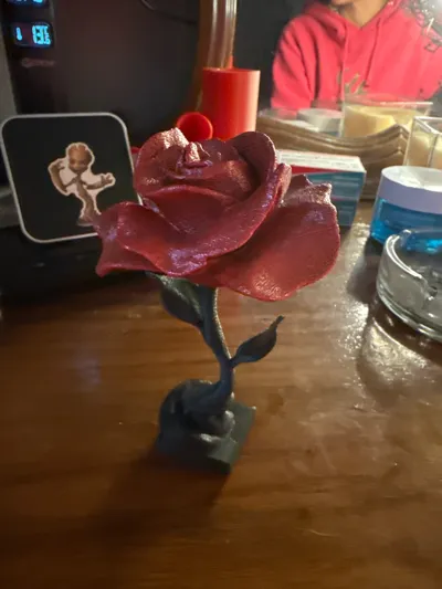 https://makerworld.bblmw.com/makerworld/comment/20260219/2937896917/68a4fa4d783c4225.jpg