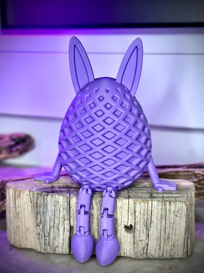 https://makerworld.bblmw.com/makerworld/comment/20260219/3066936928/d1eb1a7d606afe2a.jpg