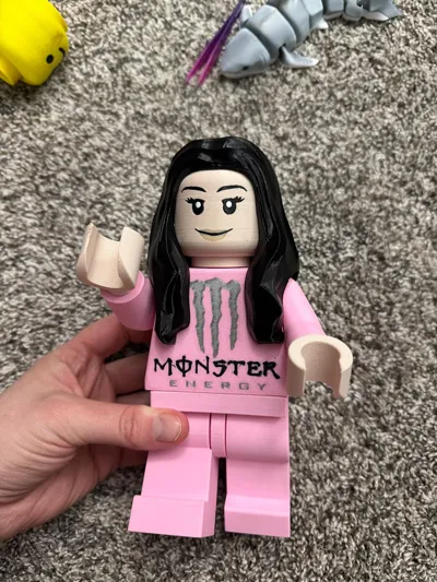 https://makerworld.bblmw.com/makerworld/comment/20260219/3211045215/d1fa69f25e2a1860.jpg
