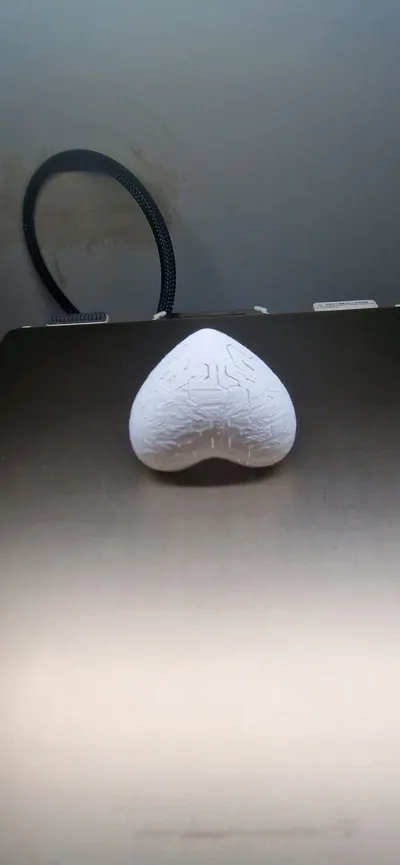 https://makerworld.bblmw.com/makerworld/comment/20260219/3316229391/13189176d2511f0f.jpg