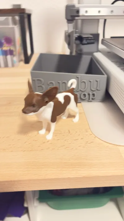 https://makerworld.bblmw.com/makerworld/comment/20260219/3431960919/e7c37b1b6b5e6816.jpeg