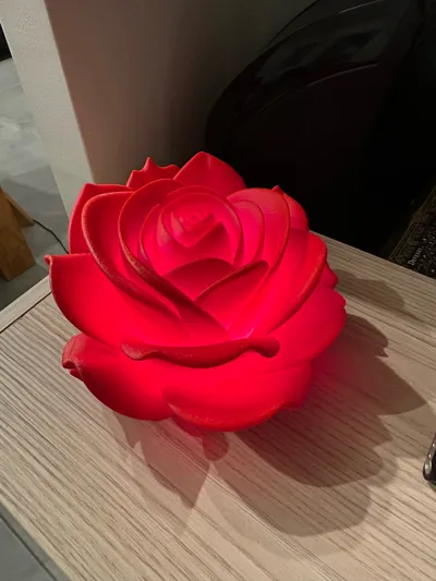 https://makerworld.bblmw.com/makerworld/comment/20260219/3683813054/7945e3c7ba368a25.jpg
