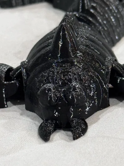 https://makerworld.bblmw.com/makerworld/comment/20260219/3802571611/889e50e3ddf32e1e.jpg
