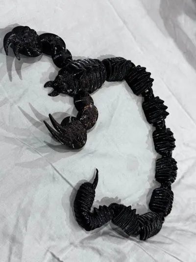 https://makerworld.bblmw.com/makerworld/comment/20260219/3802571611/d767bdae1bbbe1c0.jpg