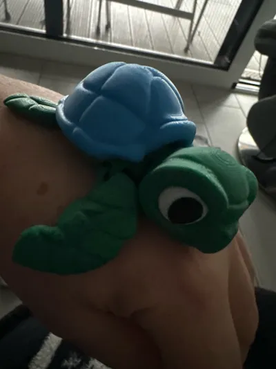 https://makerworld.bblmw.com/makerworld/comment/20260219/4159553467/9cef5aa608c8afa6.jpg