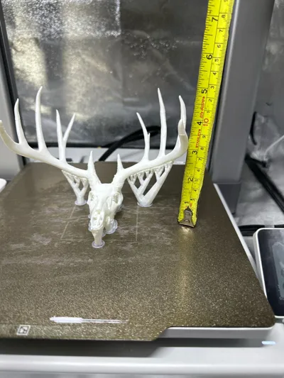 https://makerworld.bblmw.com/makerworld/comment/20260219/4200230092/11bd08ff1504c66e.jpg