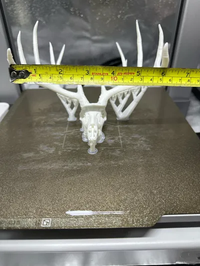 https://makerworld.bblmw.com/makerworld/comment/20260219/4200230092/b22e4c64975137a5.jpg